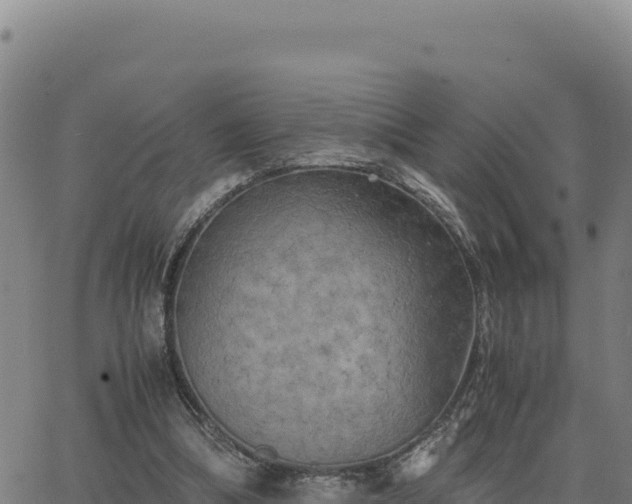 X0000063470298200601271636