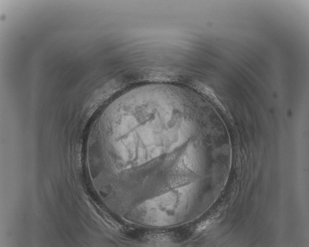 X0000063470299200601271636