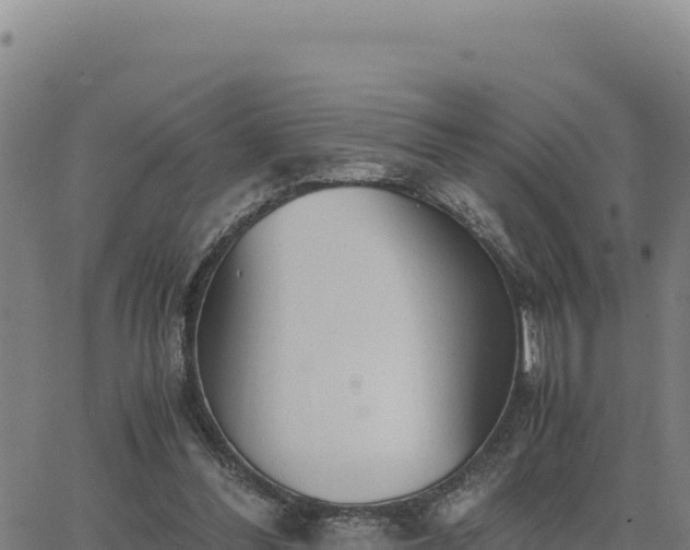 X0000063470300200601271636