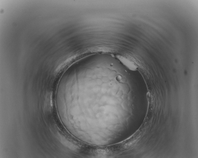 X0000063470302200601271636