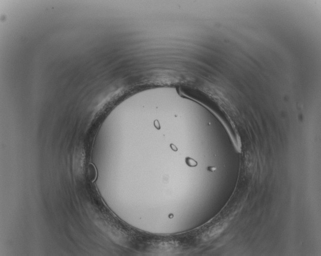 X0000063470304200601271636