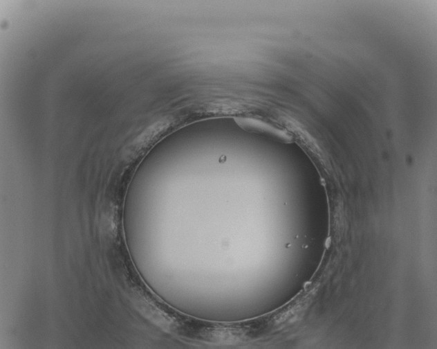 X0000063470305200601271636