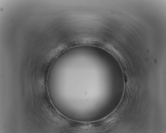 X0000063470306200601271636