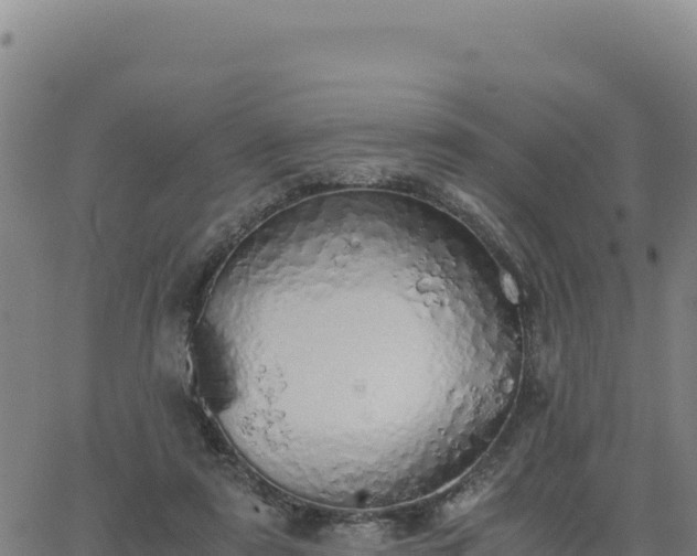 X0000063470307200601271636