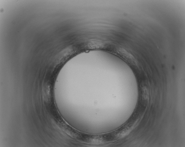 X0000063470308200601271636