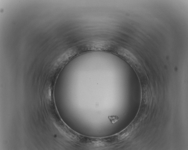 X0000063470310200601271636