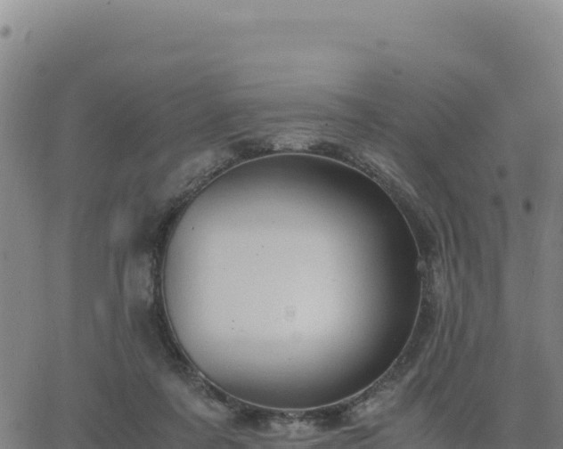 X0000063470311200601271636