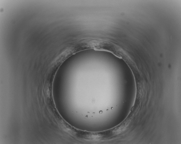 X0000063470313200601271636