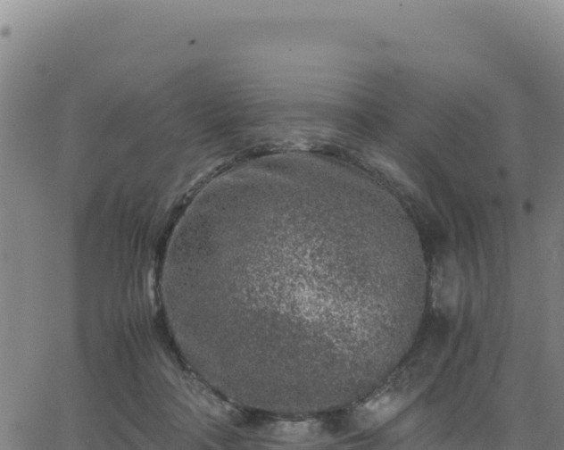 X0000063470314200601271636