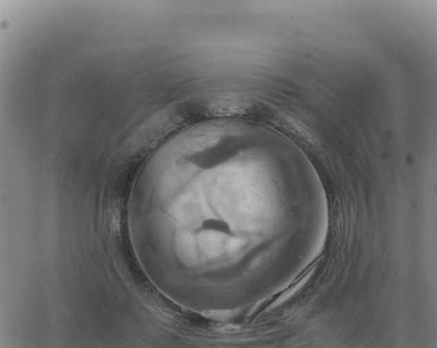 X0000063470315200601271636