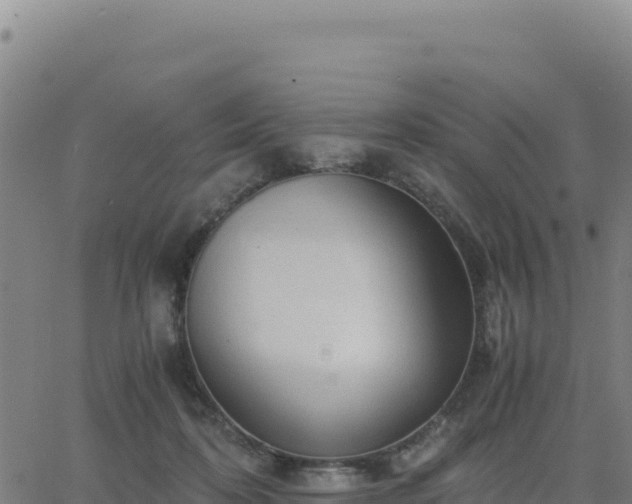 X0000063470316200601271636