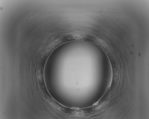 X0000063470317200601271636