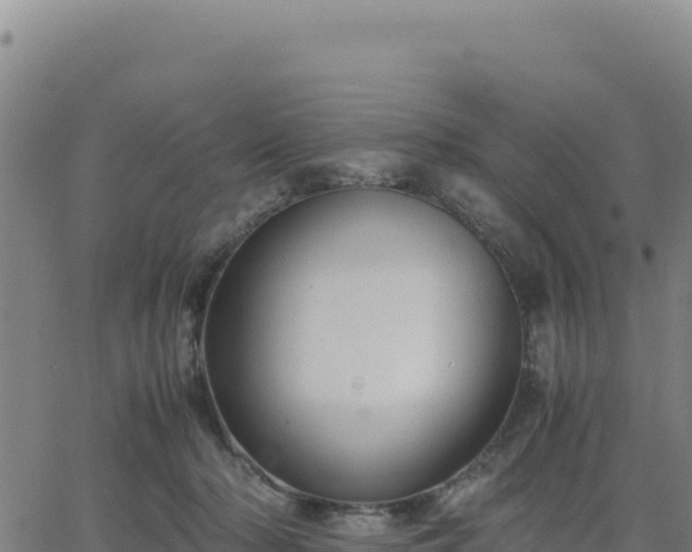 X0000063470318200601271636