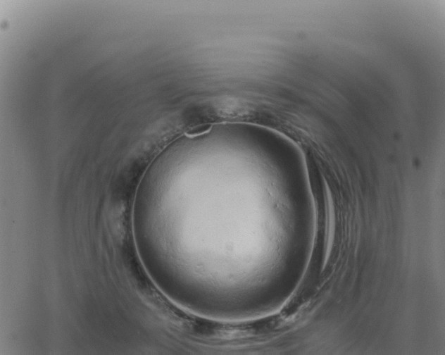 X0000063470319200601271636