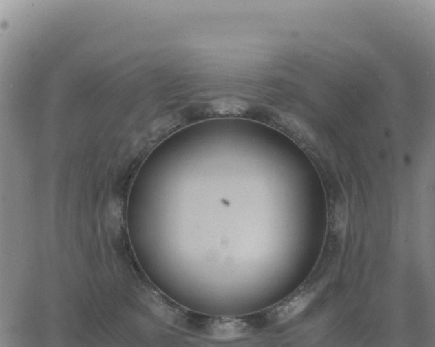 X0000063470321200601271636