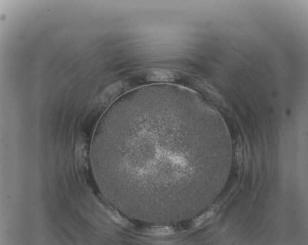 X0000063470322200601271636