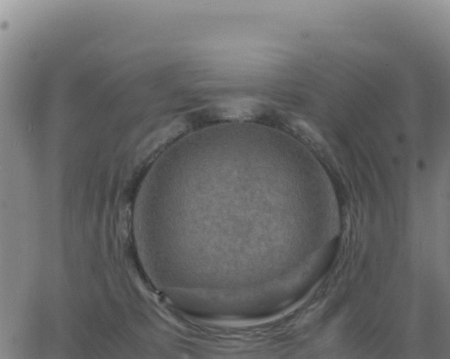 X0000063470325200601271636