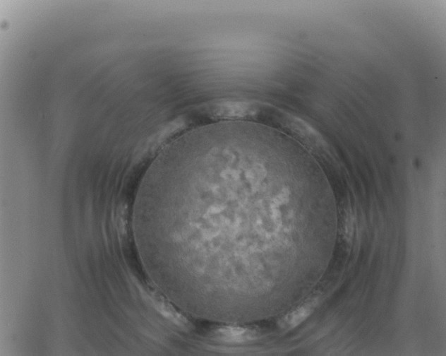 X0000063470326200601271636