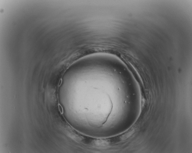 X0000063470327200601271636