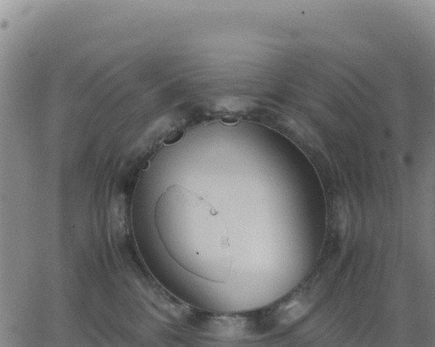 X0000063470328200601271636