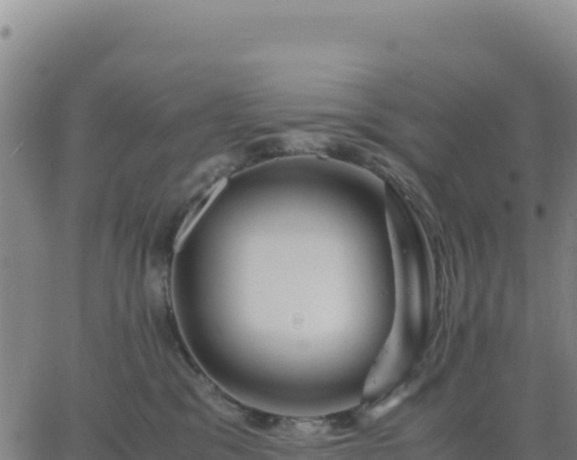 X0000063470329200601271636