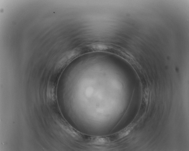 X0000063470330200601271636