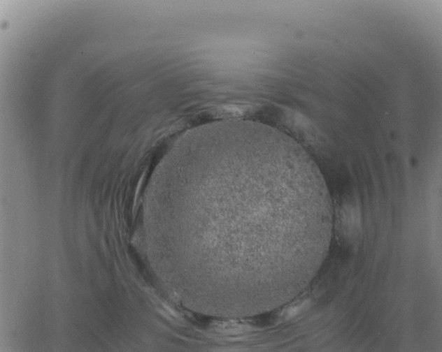 X0000063470331200601271636