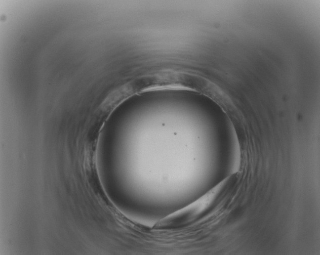 X0000063470333200601271636