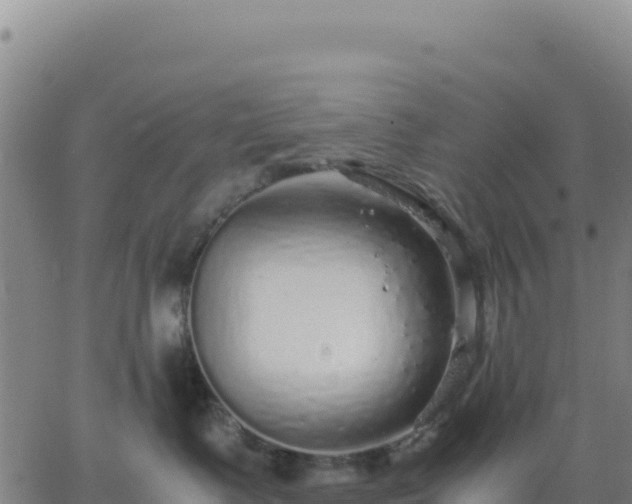 X0000063470335200601271636