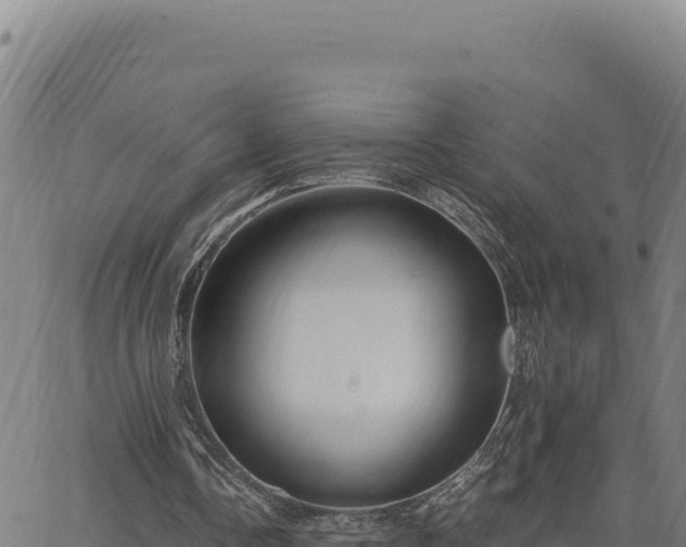 X0000063470338200601271635