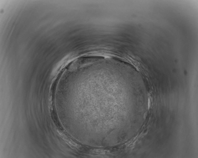 X0000063470339200601271635