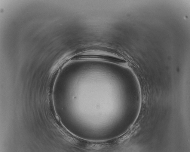 X0000063470341200601271635