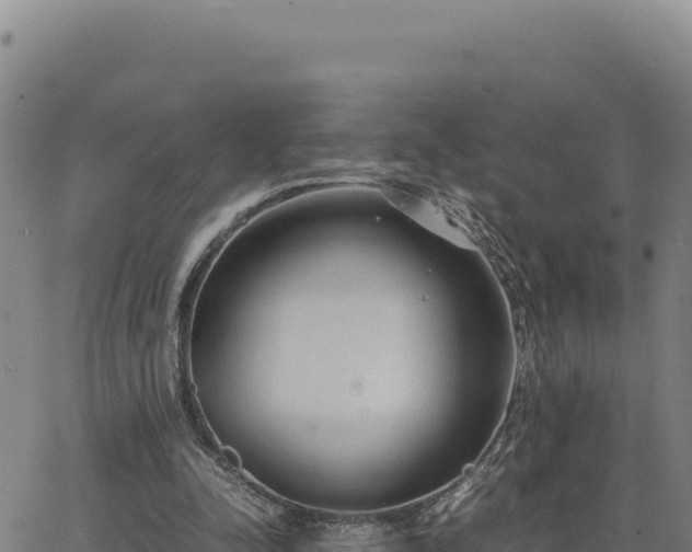 X0000063470342200601271635