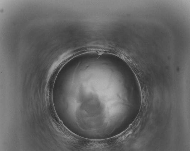 X0000063470343200601271635