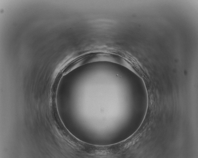 X0000063470344200601271635