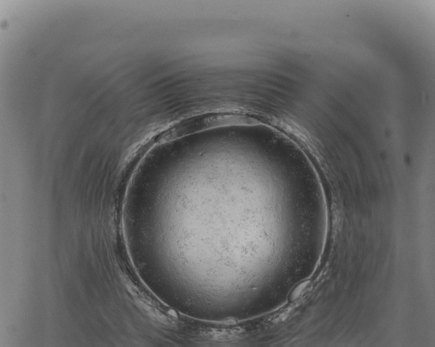 X0000063470345200601271635