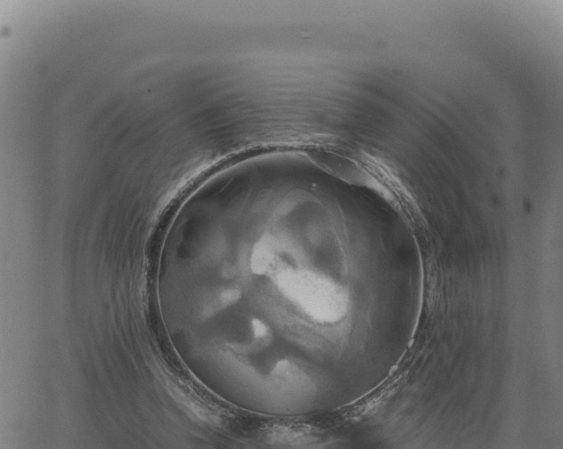 X0000063470346200601271635