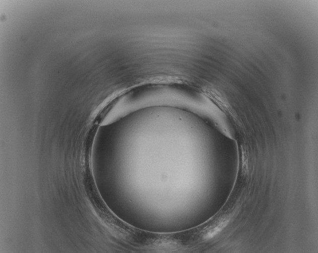 X0000063470348200601271635