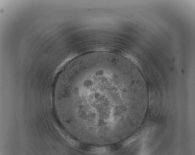 X0000063470349200601271635