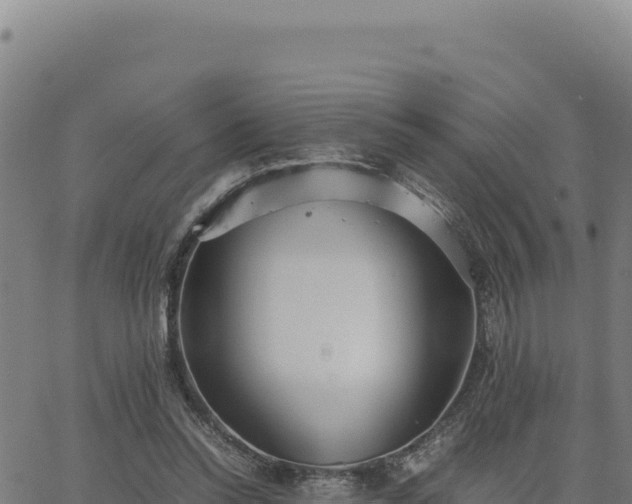 X0000063470350200601271635