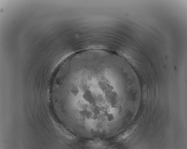 X0000063470351200601271635