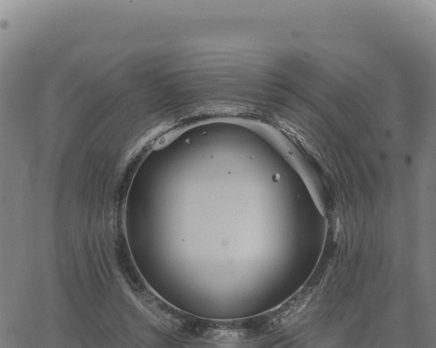 X0000063470352200601271635