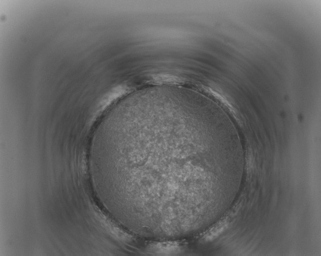 X0000063470353200601271635