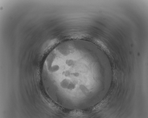 X0000063470354200601271635