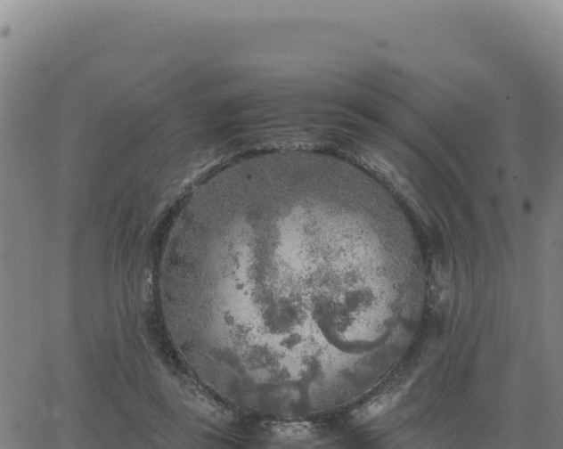 X0000063470355200601271635