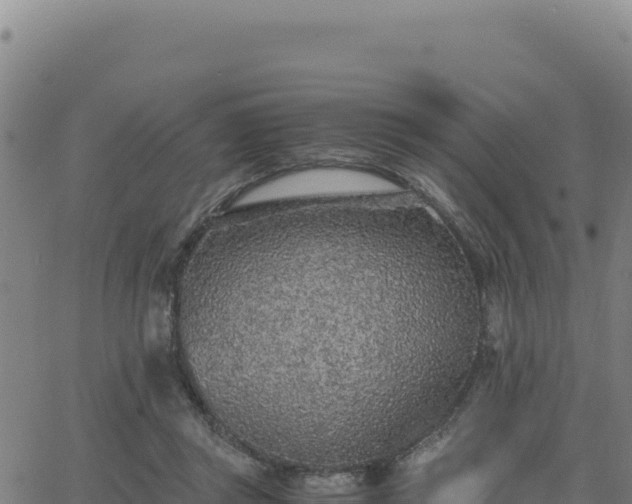 X0000063470357200601271635