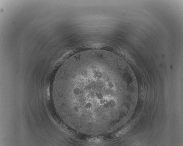 X0000063470358200601271635