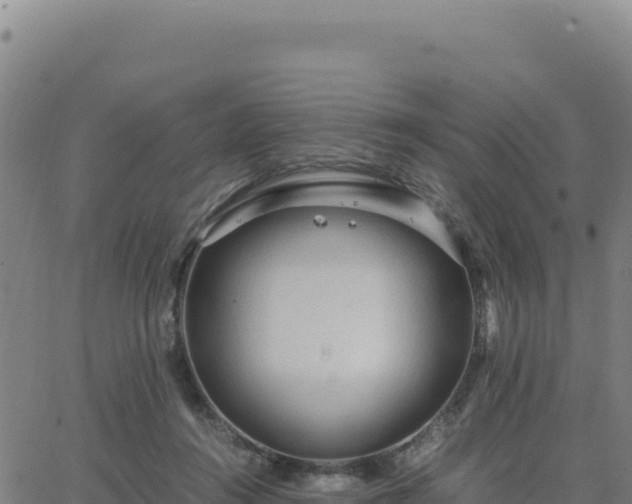 X0000063470360200601271635