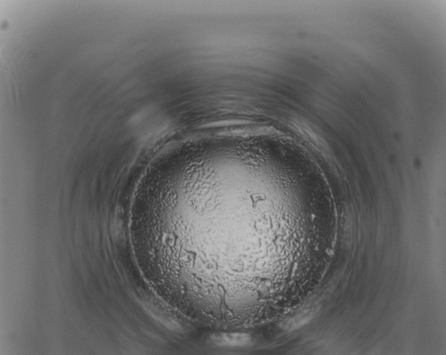 X0000063470361200601271635