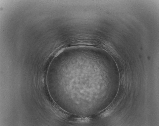 X0000063470363200601271635